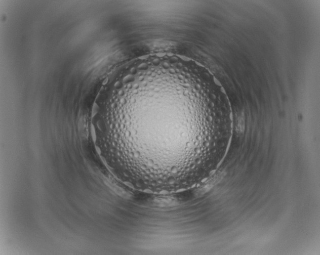 X0000071840666200606301314