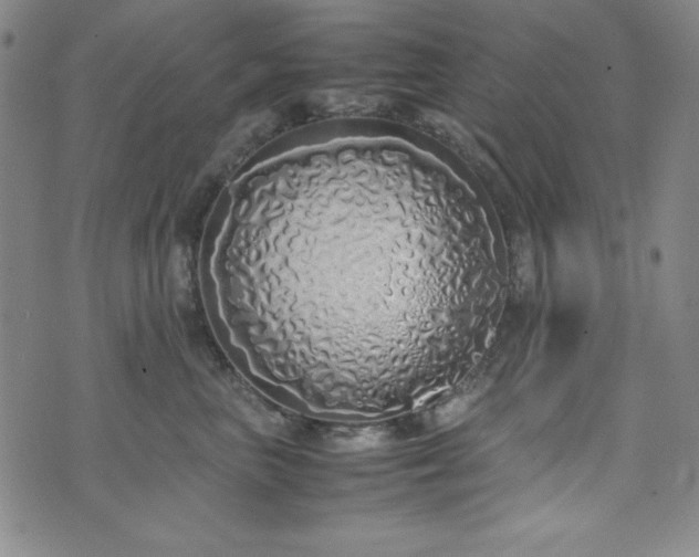 X0000071840667200606301314
