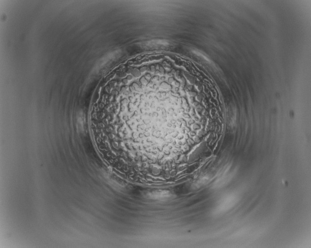 X0000071840669200606301314