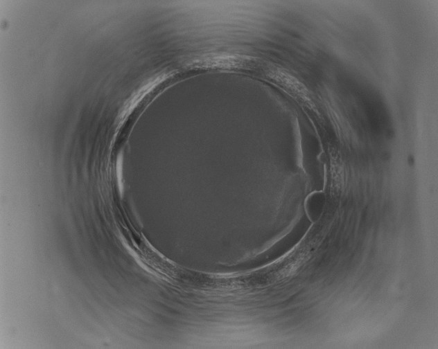 X0000071840674200606301313
