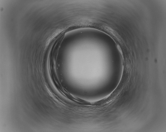 X0000071840677200606301313