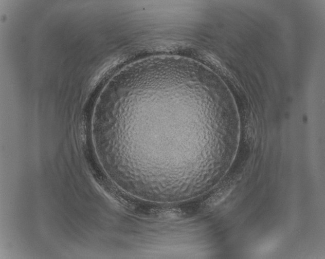 X0000071840683200606301313