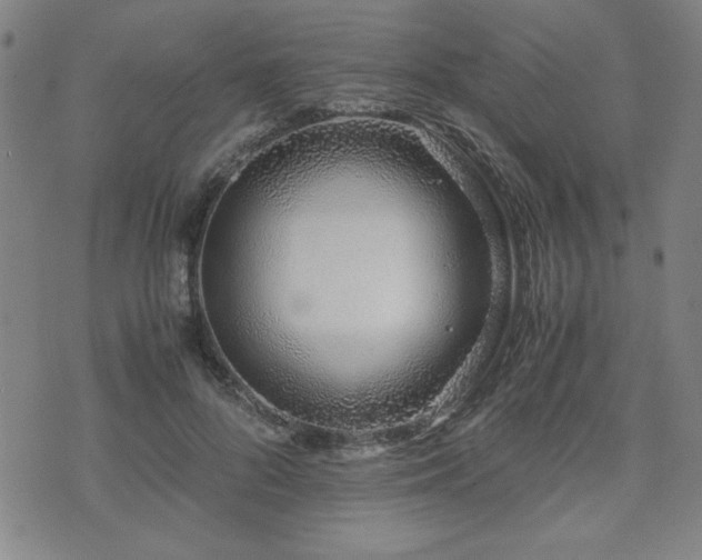 X0000071840696200606301313