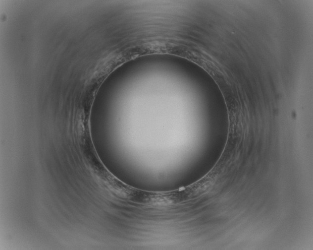 X0000071840702200606301312