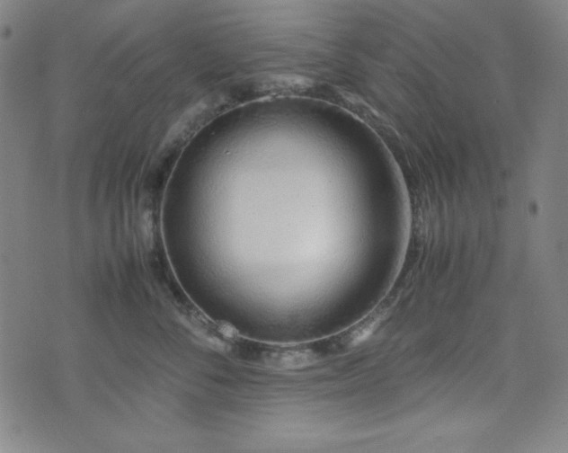 X0000071840716200606301312