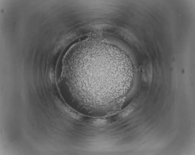 X0000071840718200606301312