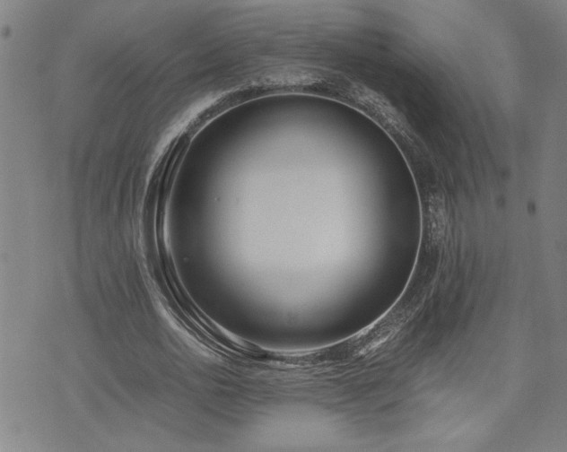 X0000071840726200606301311