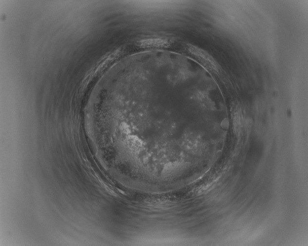 X0000071840729200606301312