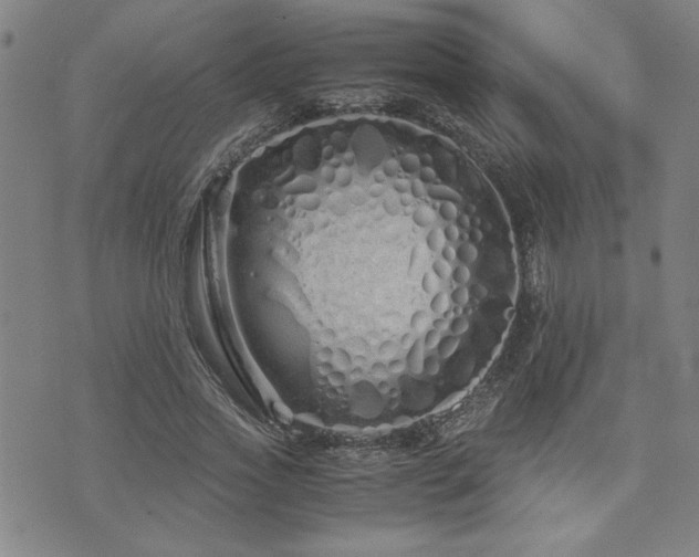 X0000071840733200606301312