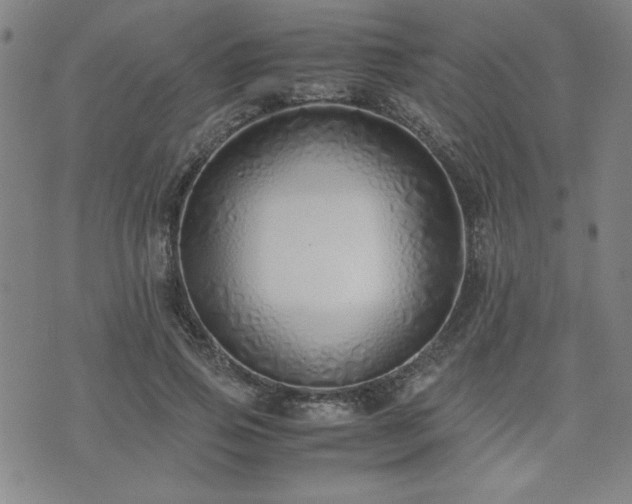 X0000071840741200606301312