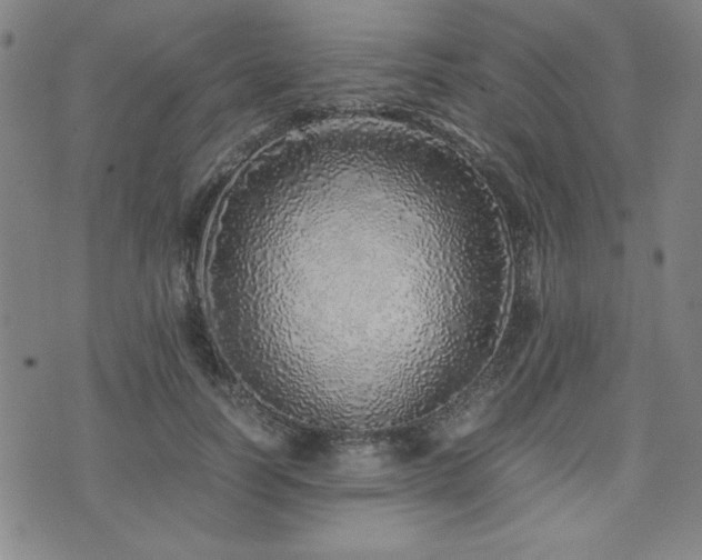 X0000071840746200606301312