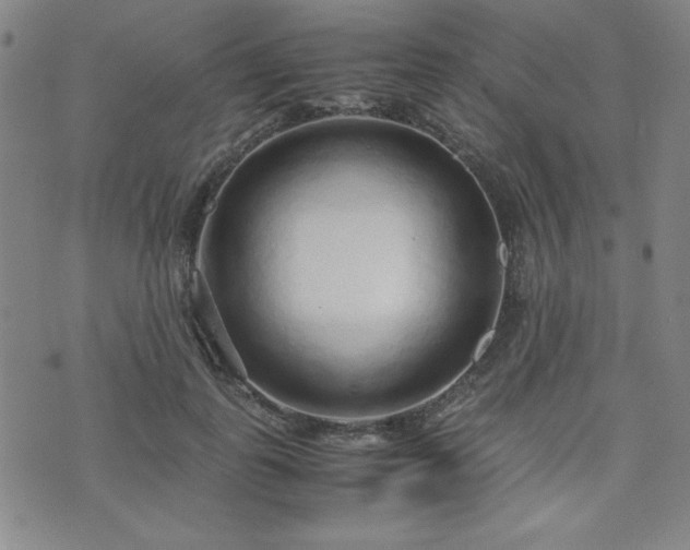X0000071840747200606301312