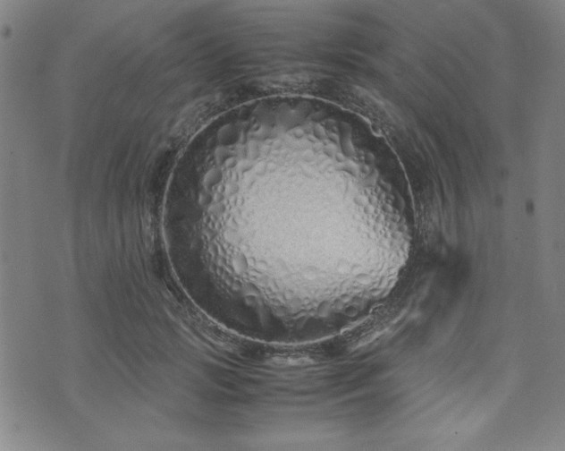X0000071840749200606301312