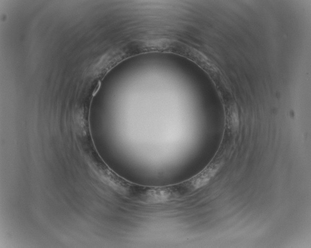 X0000071840764200606301312
