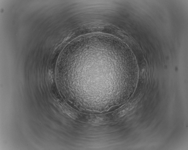 X0000071840772200606301311