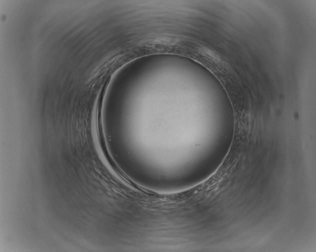 X0000071840774200606301311