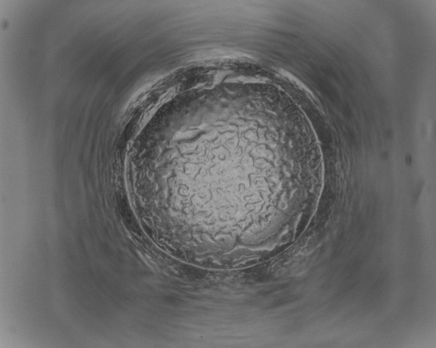 X0000071840775200606301311