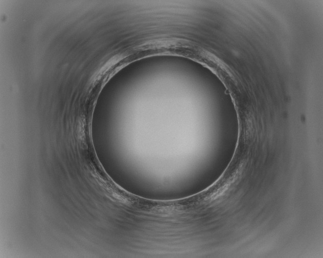 X0000071840778200606301311