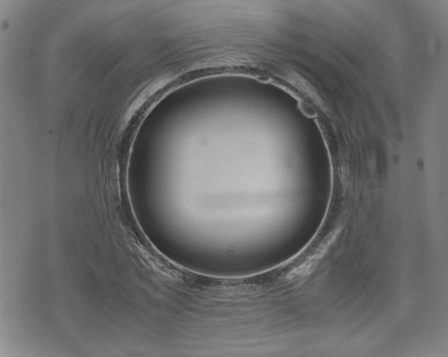 X0000071840781200606301311
