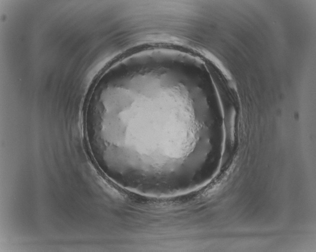 X0000071840791200606301311