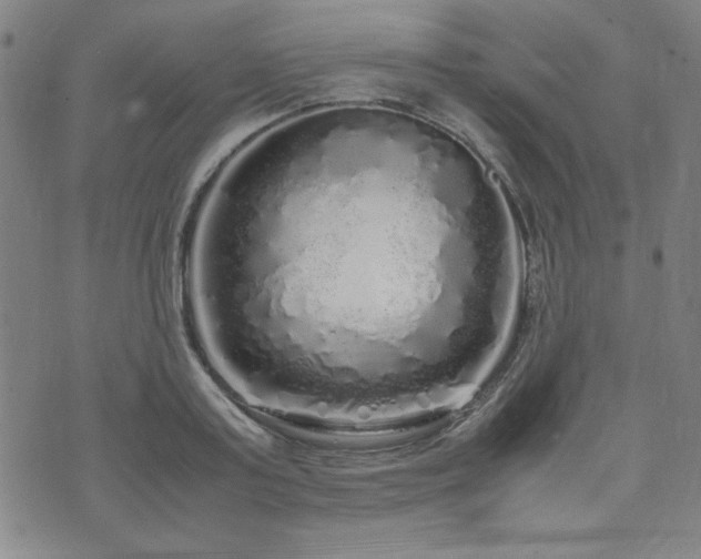 X0000071840795200606301311
