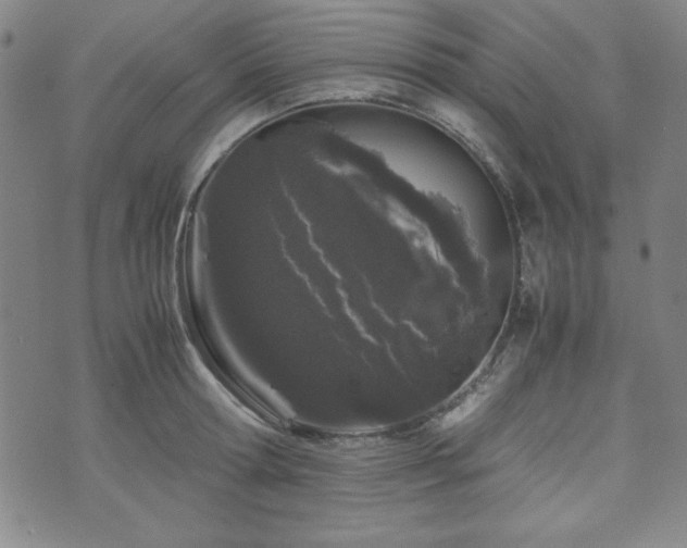 X0000071840802200606301311