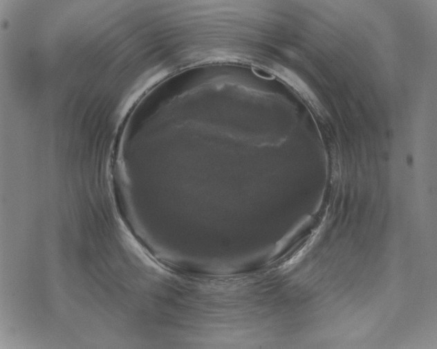 X0000071840806200606301311