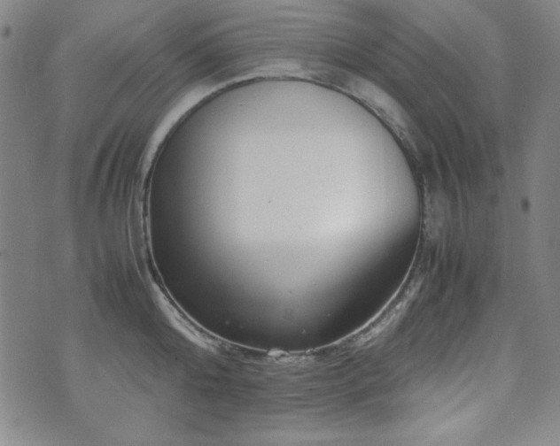 X0000071840808200606301311