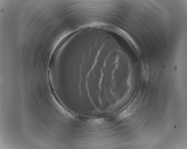 X0000071840810200606301311