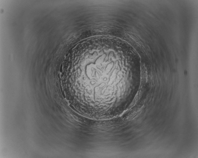 X0000071840817200606301310