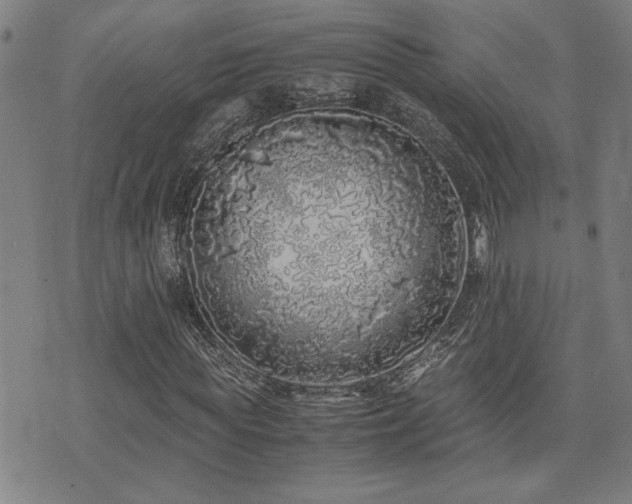 X0000071840819200606301310