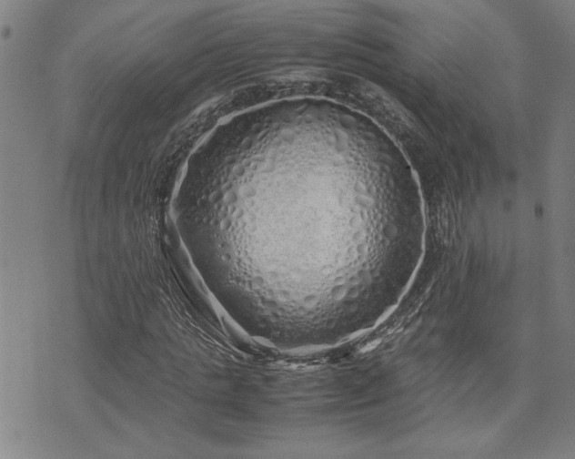 X0000071840821200606301310