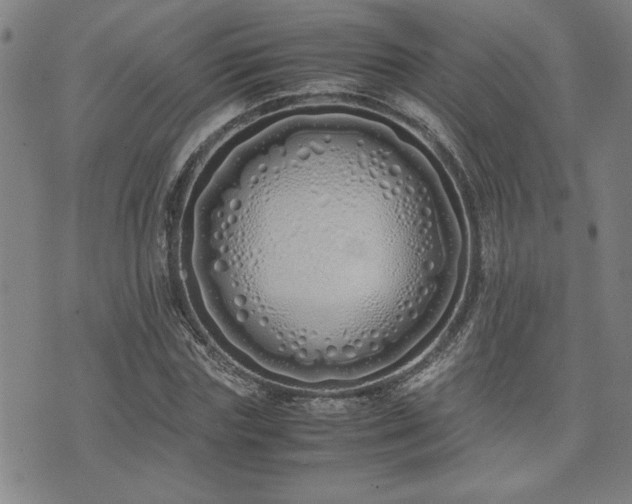 X0000071840827200606301310