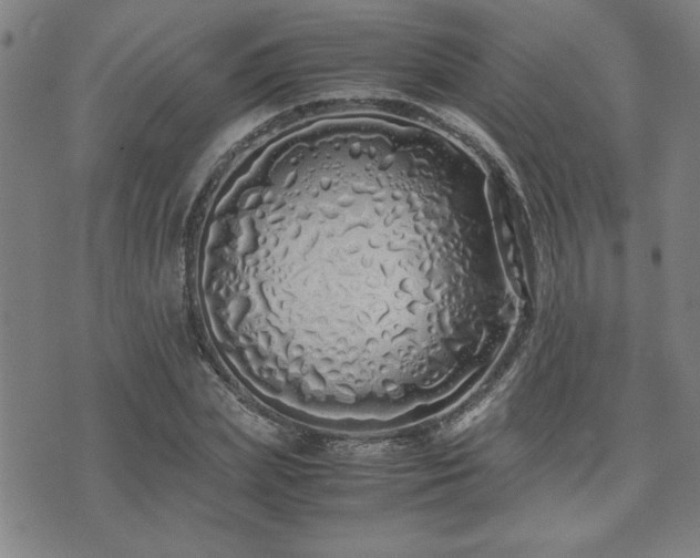 X0000071840831200606301310
