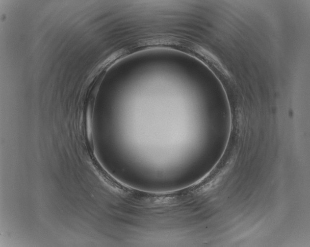 X0000071840841200606301310