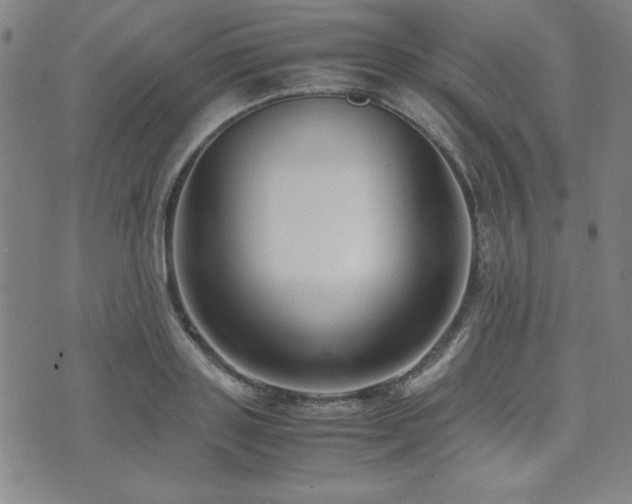X0000071840843200606301310