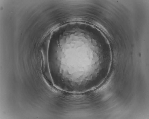 X0000071840849200606301310
