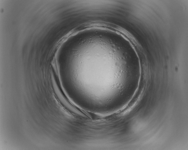 X0000071840857200606301311
