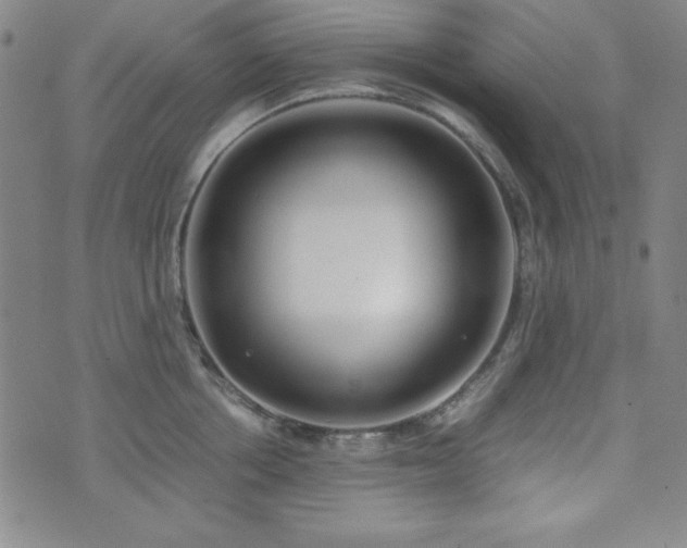 X0000071840858200606301311