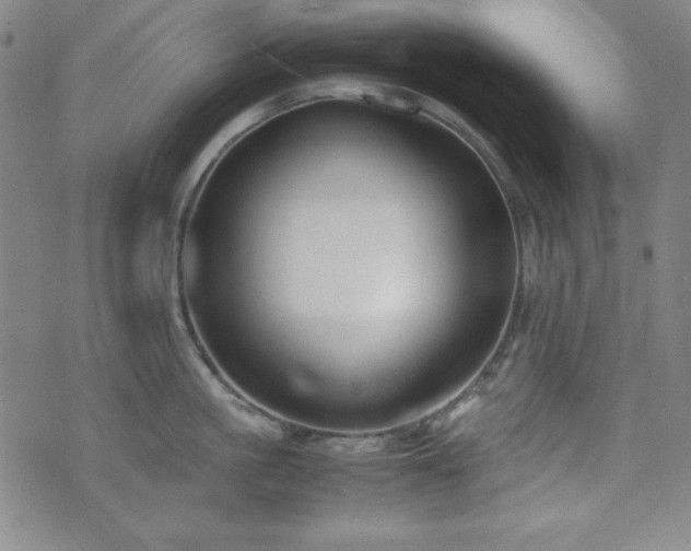X0000071840861200606301311
