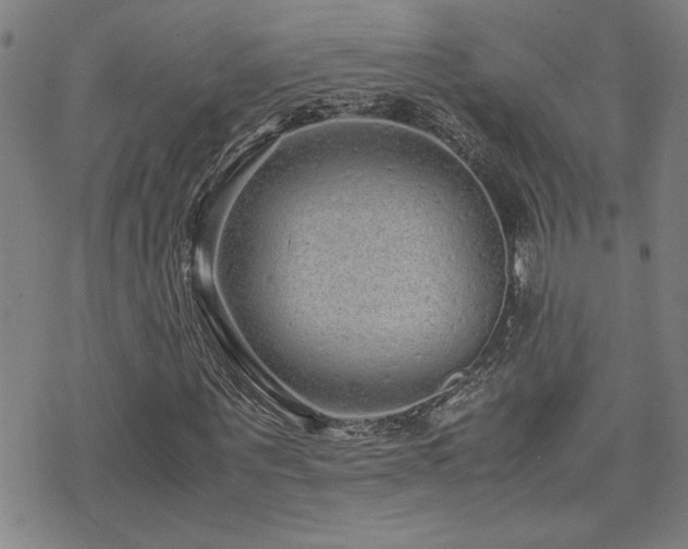 X0000071840867200606301310
