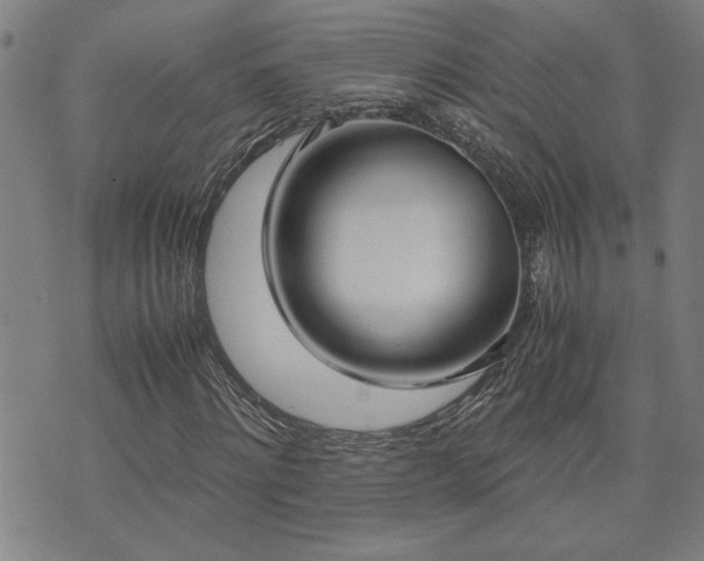 X0000071840868200606301310