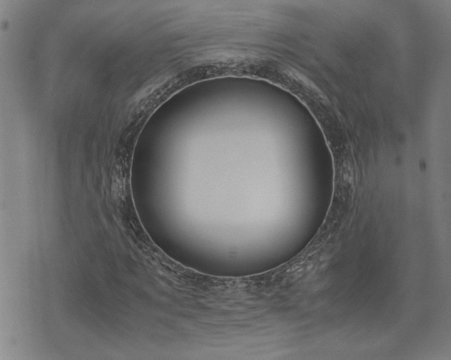 X0000071840869200606301310