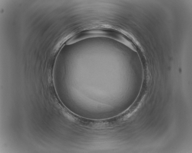 X0000071840889200606301309