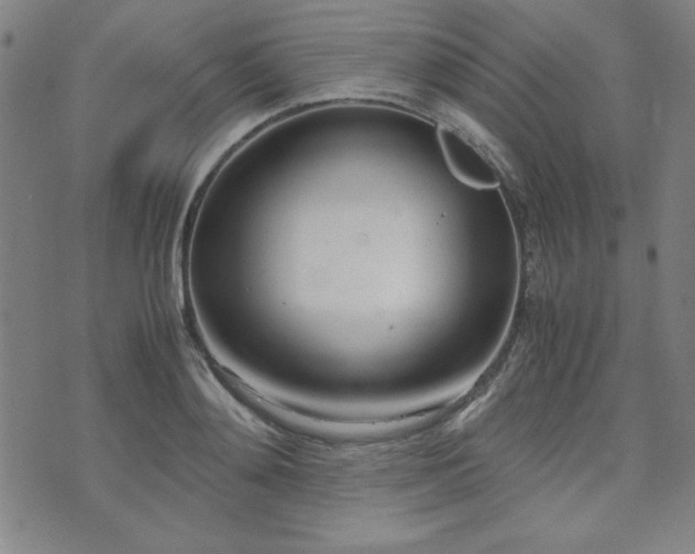 X0000071840892200606301309