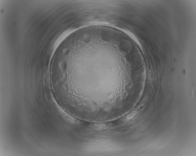 X0000071840911200606301309
