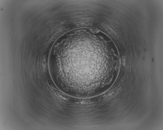 X0000071840915200606301308