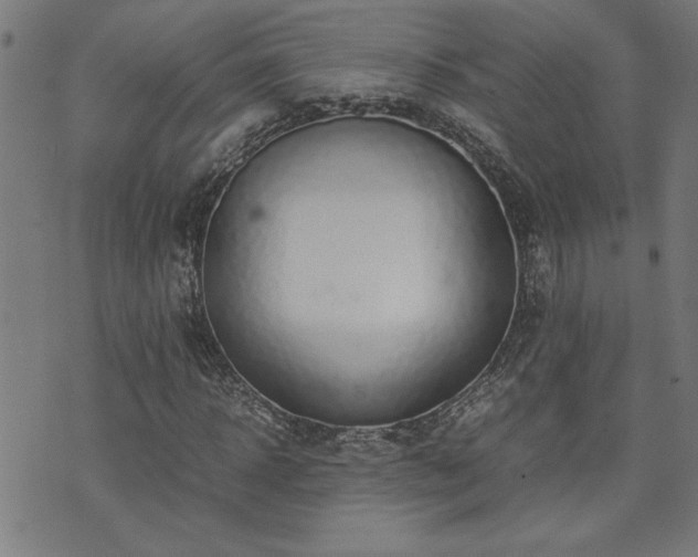 X0000071840918200606301308