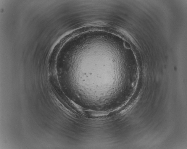 X0000071840923200606301308