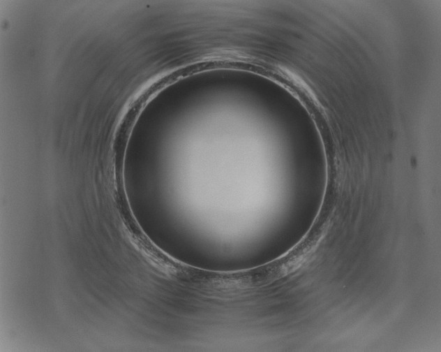 X0000071840931200606301309